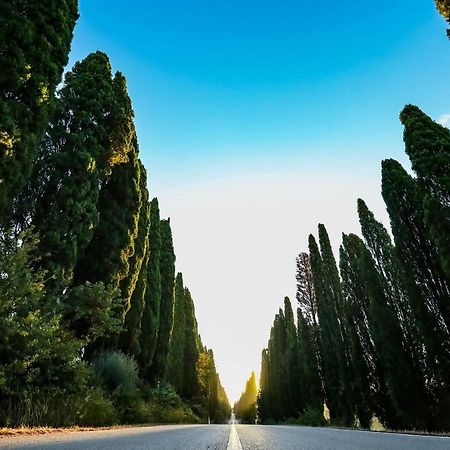 Relais Felciaino B&B Bolgheri Luaran gambar