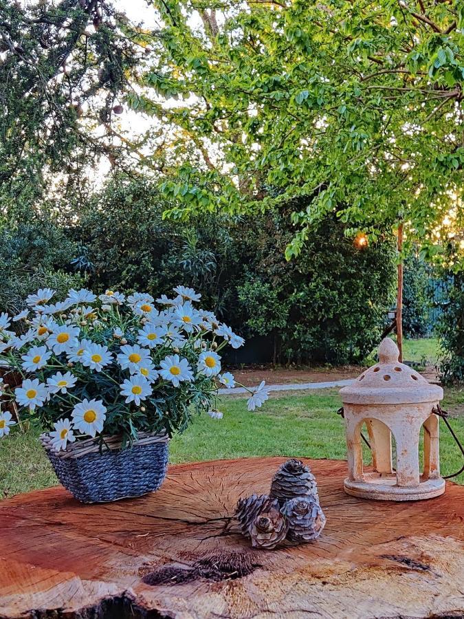 Relais Felciaino B&B Bolgheri Luaran gambar