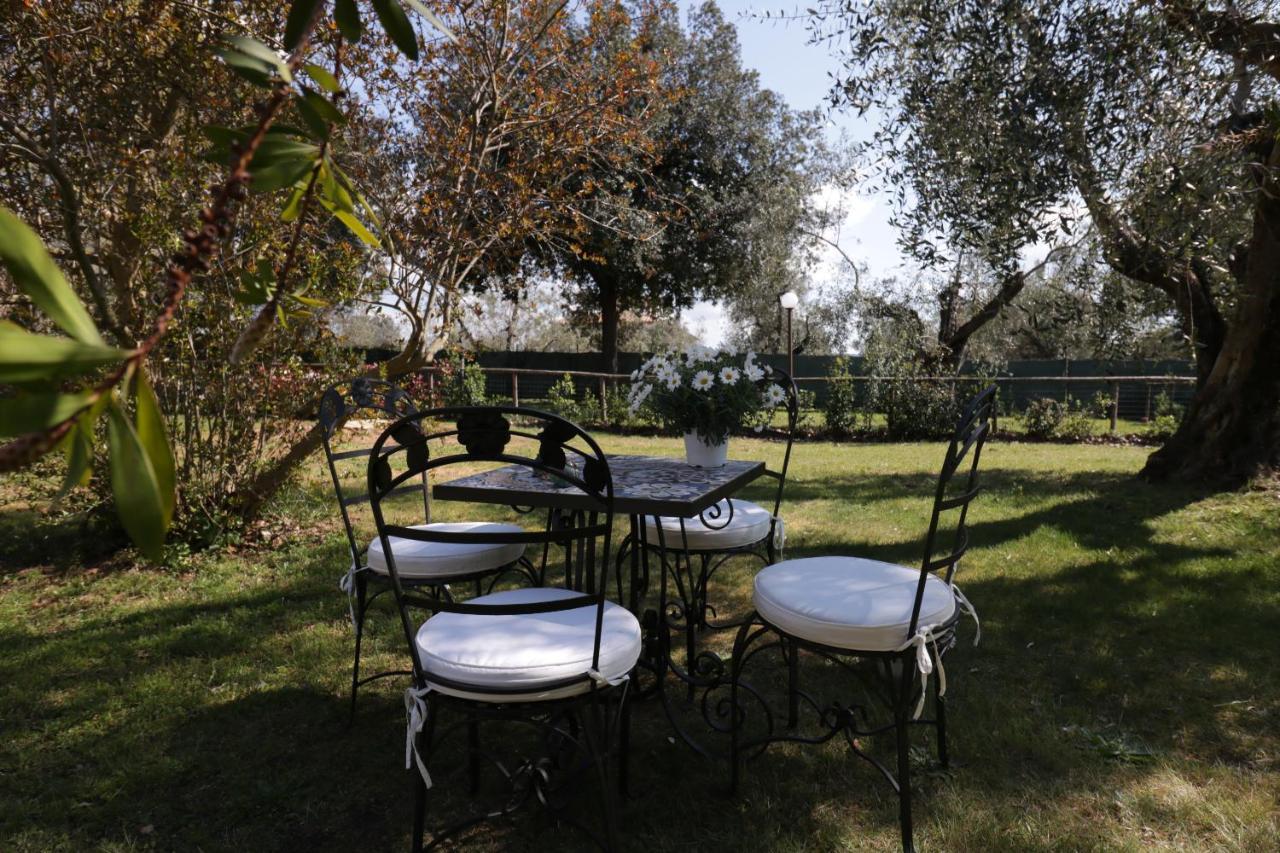Relais Felciaino B&B Bolgheri Luaran gambar