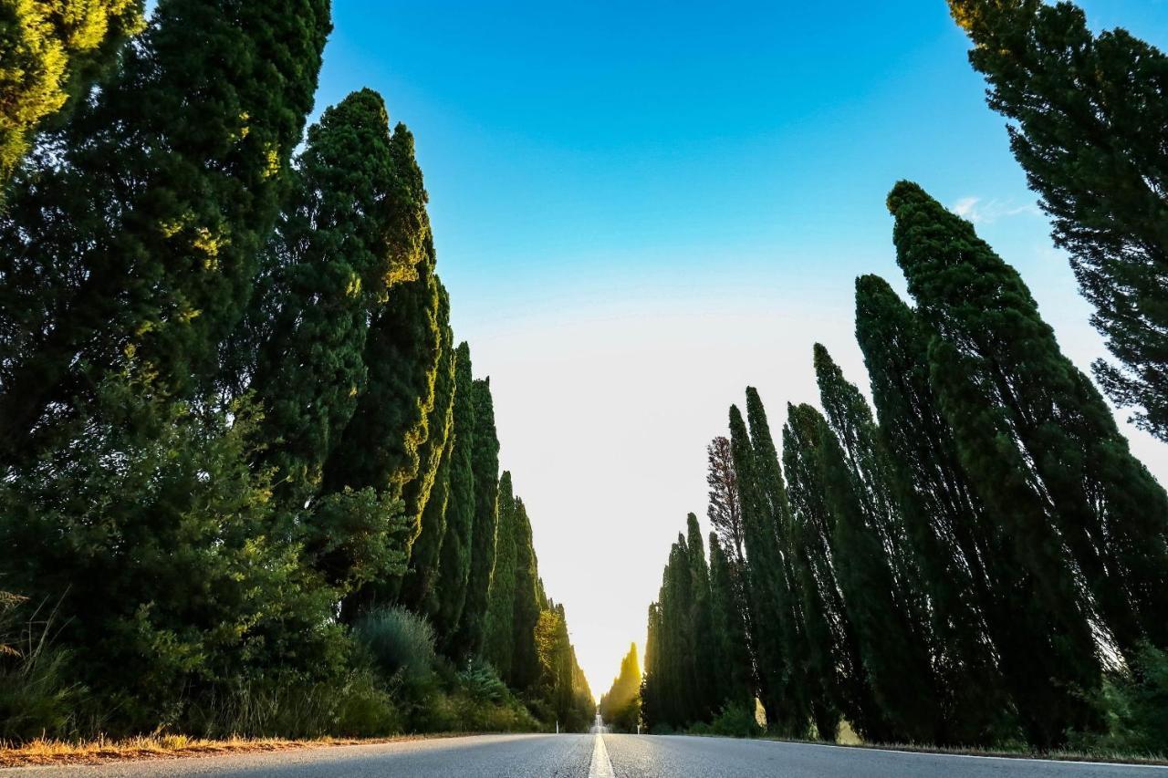 Relais Felciaino B&B Bolgheri Luaran gambar