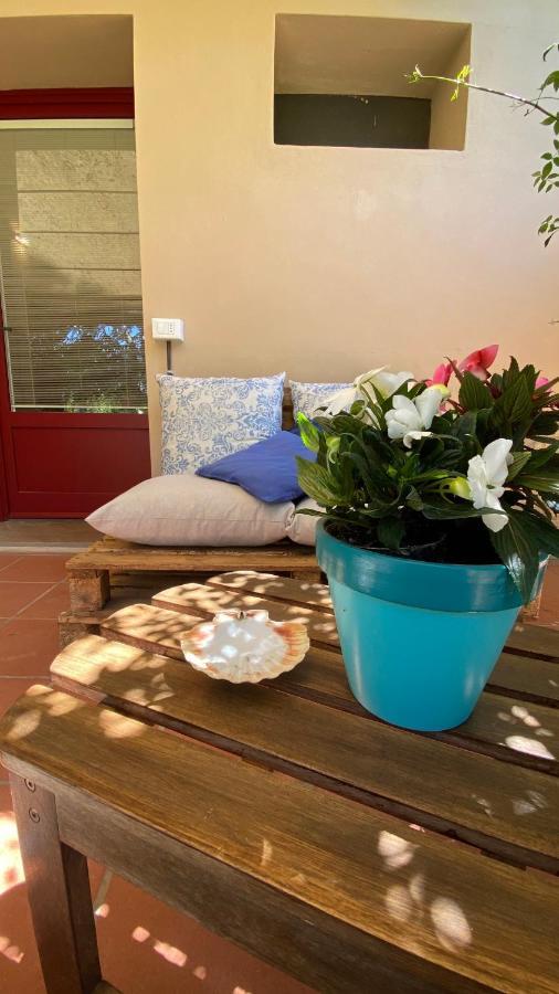 Relais Felciaino B&B Bolgheri Luaran gambar