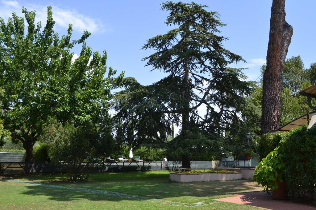 Relais Felciaino B&B Bolgheri Luaran gambar